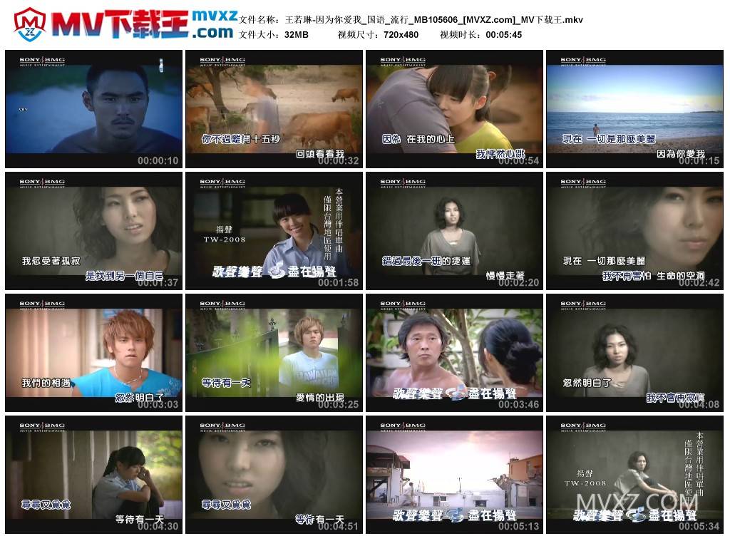 王若琳-因为你爱我_国语_流行_MB105606